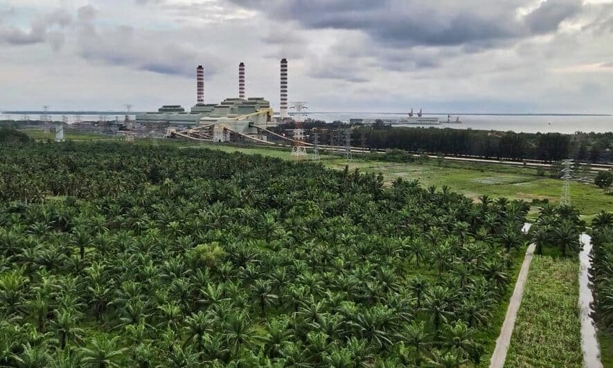 后续跟进与税务维护